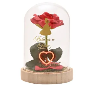 PRINCESAS DISNEY FLORES EN CAMPANA CON LUZ NEON BELLA