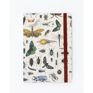 NOTEBOOK A5 TAPA BLANDA MARIPOSAS