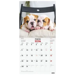 CALENDARIO 2026 PARED 30X30 CACHORROS