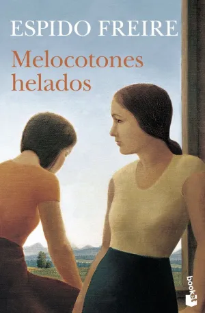 MELOCOTONES HELADOS BOOKET