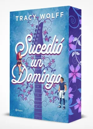 SUCEDIO UN DOMINGO