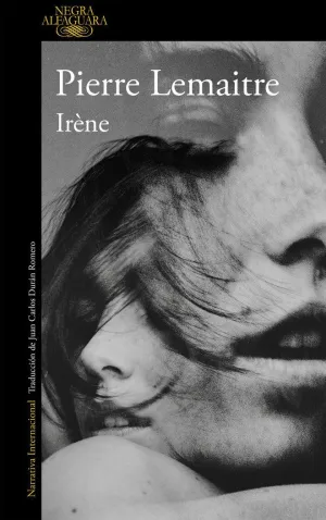 IRENE UN CASO DEL COMANDANTE CAMILLE VERHOEVEN 1