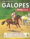 GALOPES NIVELES 5 Y 6 CURSO DE EQUITACION