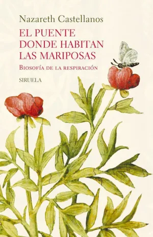 EL PUENTE DONDE HABITAN LAS MARIPOSAS